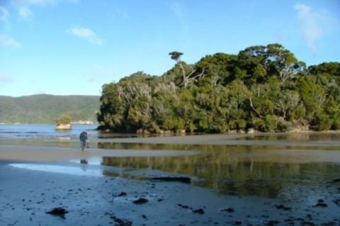 South Sea Hotel - Stewart Island Half-moon Bay Eksteriør billede